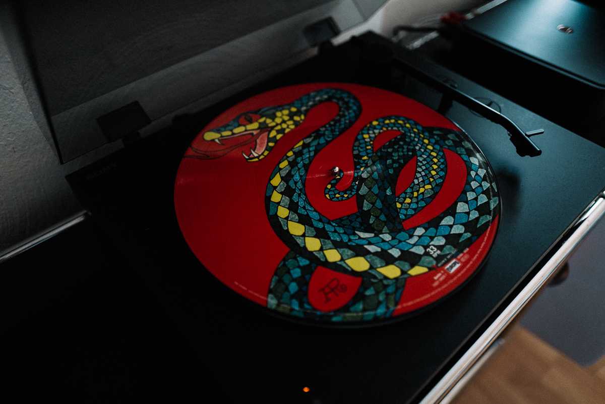 Folge 025 - Die Drei Fragezeichen und die singende Schlange Picture Vinyl