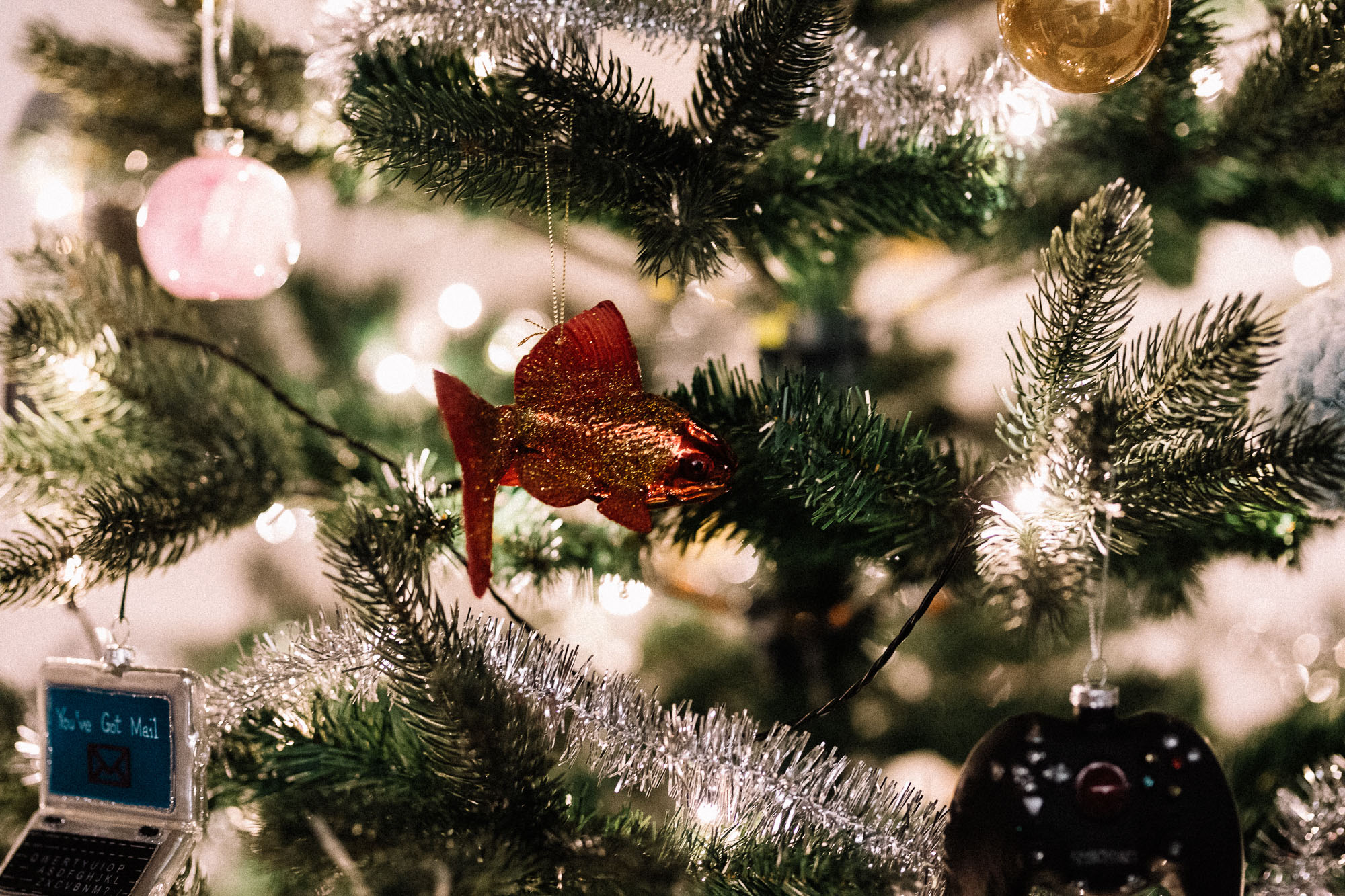 6 Weihnachtsgeschenk Empfehlungen für Fotografen und Videofilmer - Teil 2